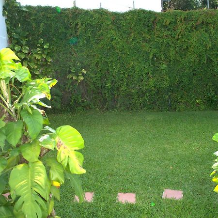 Villa Beautiful Jungle House On A Strategic Location Cancún Exterior foto