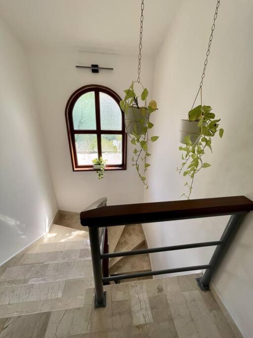 Villa Beautiful Jungle House On A Strategic Location Cancún Exterior foto